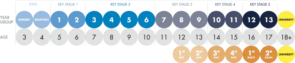 Proceso de escolarización